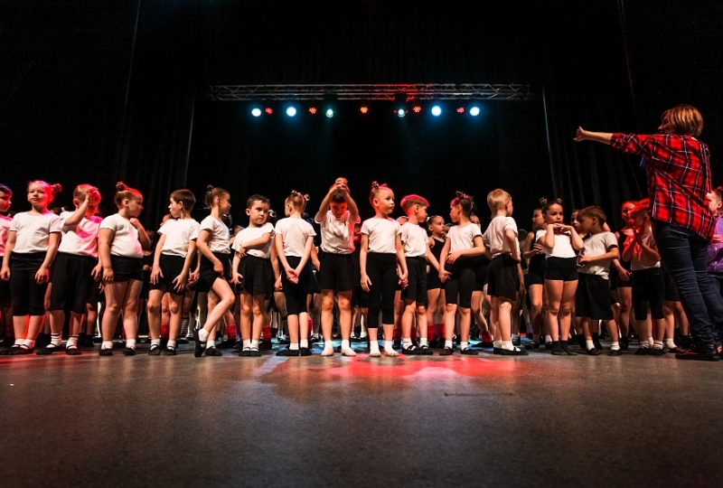 Итоги экзамена 2018-2019 год