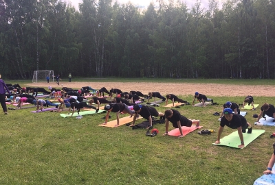 Буревестник, 2017